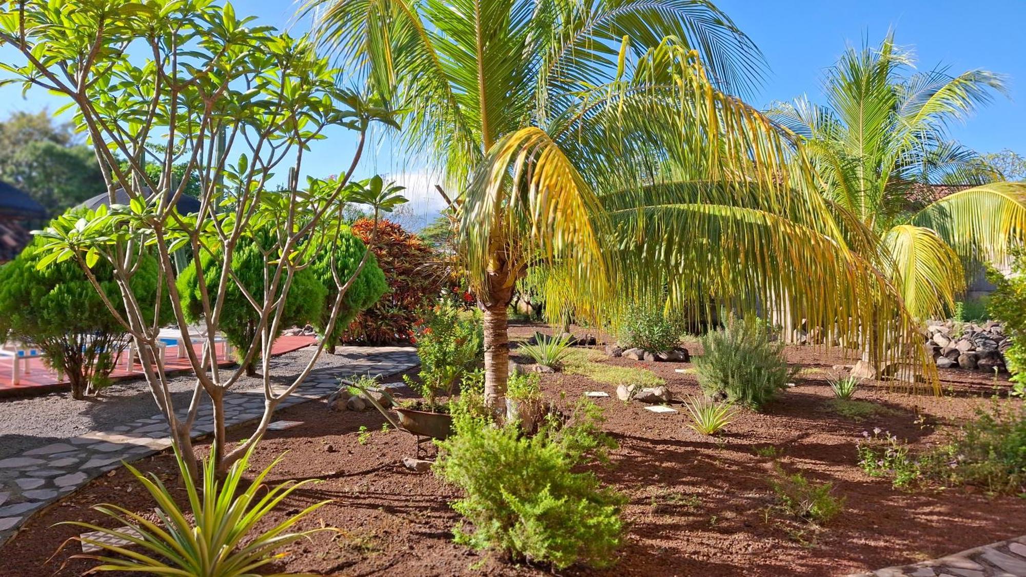 Hotel Jardin Garden De Granada Nicaragua Εξωτερικό φωτογραφία