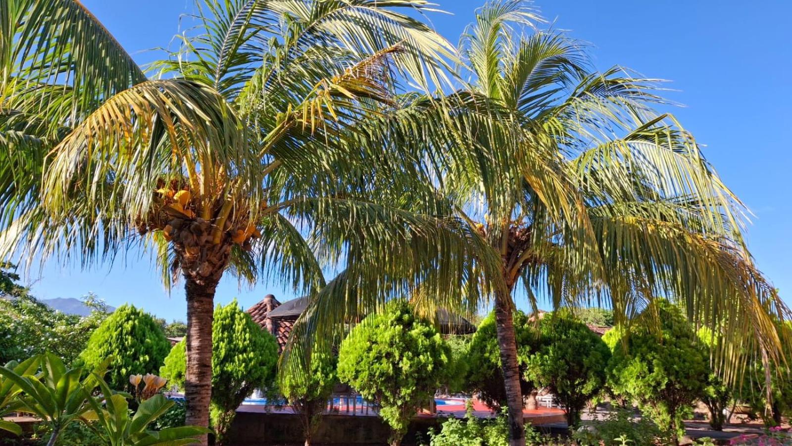 Hotel Jardin Garden De Granada Nicaragua Εξωτερικό φωτογραφία
