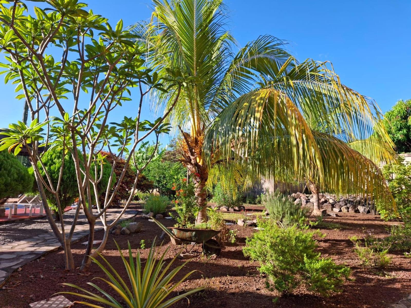 Hotel Jardin Garden De Granada Nicaragua Εξωτερικό φωτογραφία