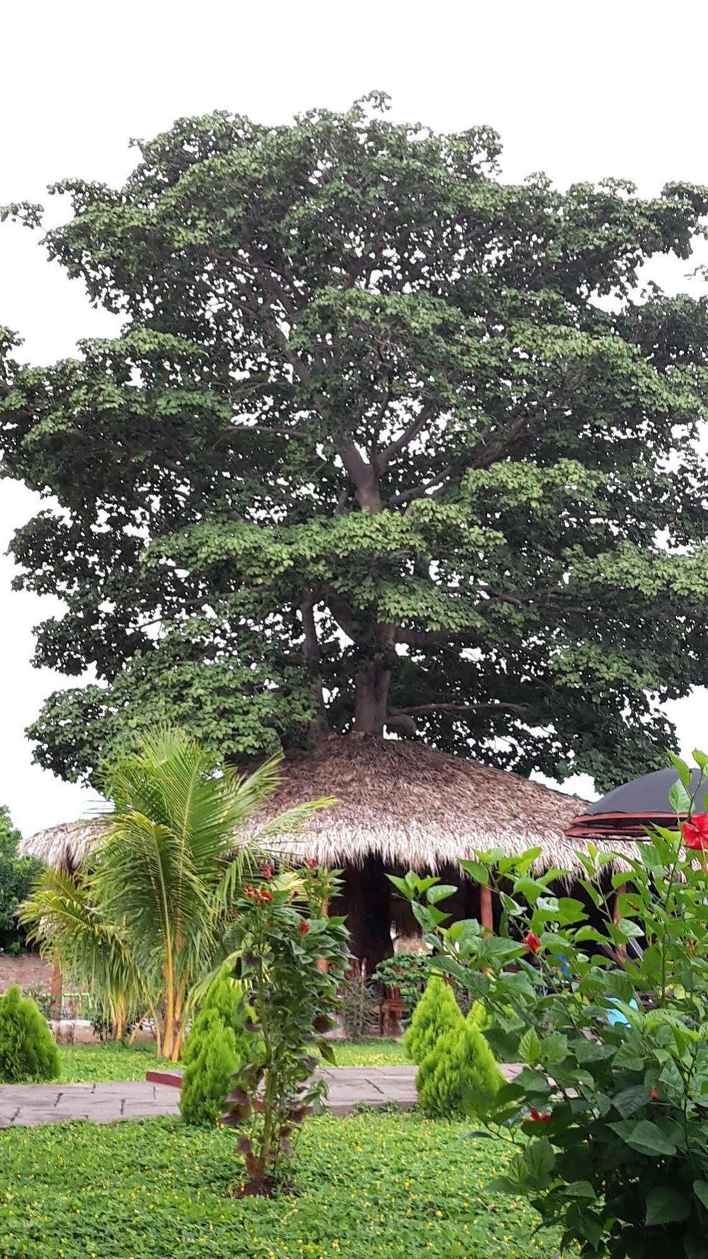Hotel Jardin Garden De Granada Nicaragua Εξωτερικό φωτογραφία