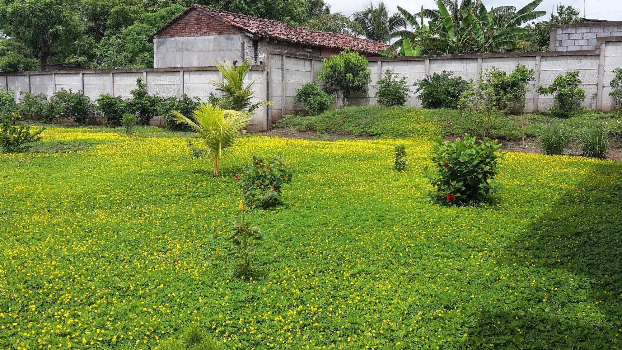 Hotel Jardin Garden De Granada Nicaragua Εξωτερικό φωτογραφία
